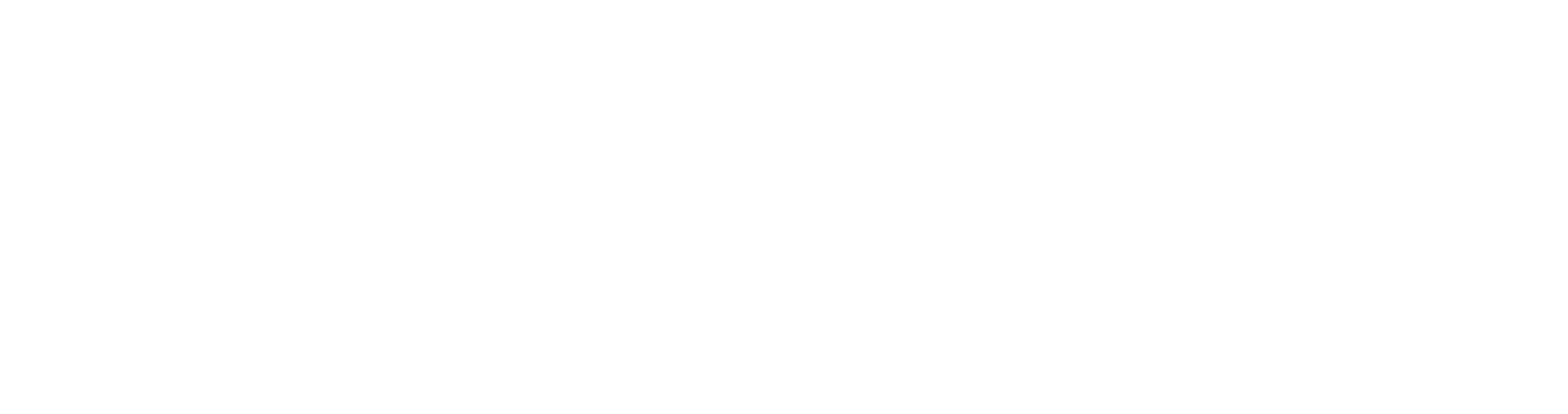 ININSE Logo
